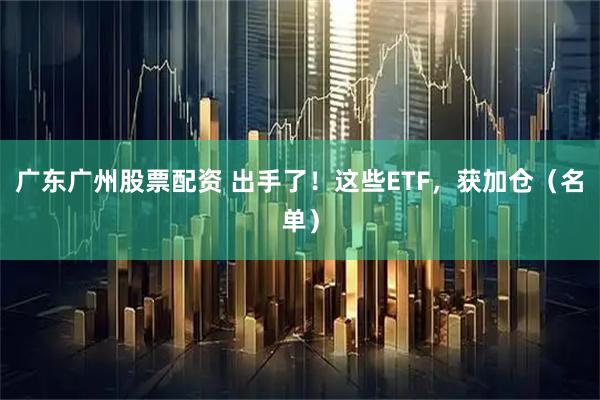 广东广州股票配资 出手了！这些ETF，获加仓（名单）